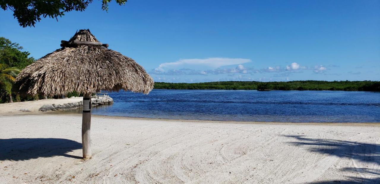 Tiny House Rv, Kayak Hotell Key Largo Exteriör bild