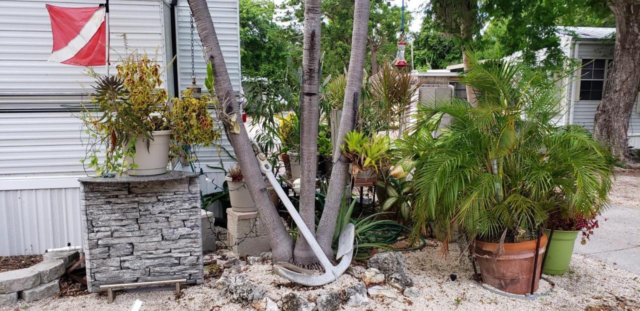 Tiny House Rv, Kayak Hotell Key Largo Exteriör bild