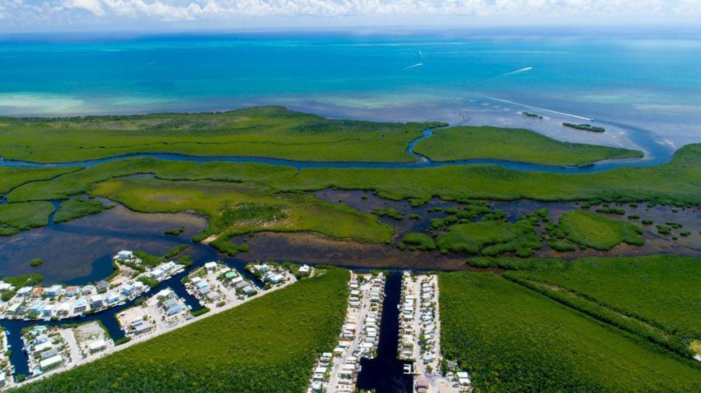 Tiny House Rv, Kayak Hotell Key Largo Exteriör bild